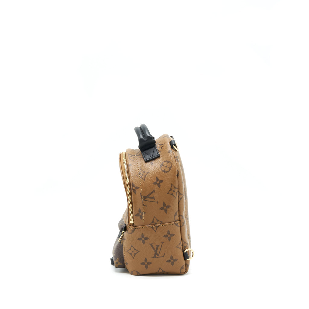 louis-vuitton-palm-spring-mini-backpack-year-2020
