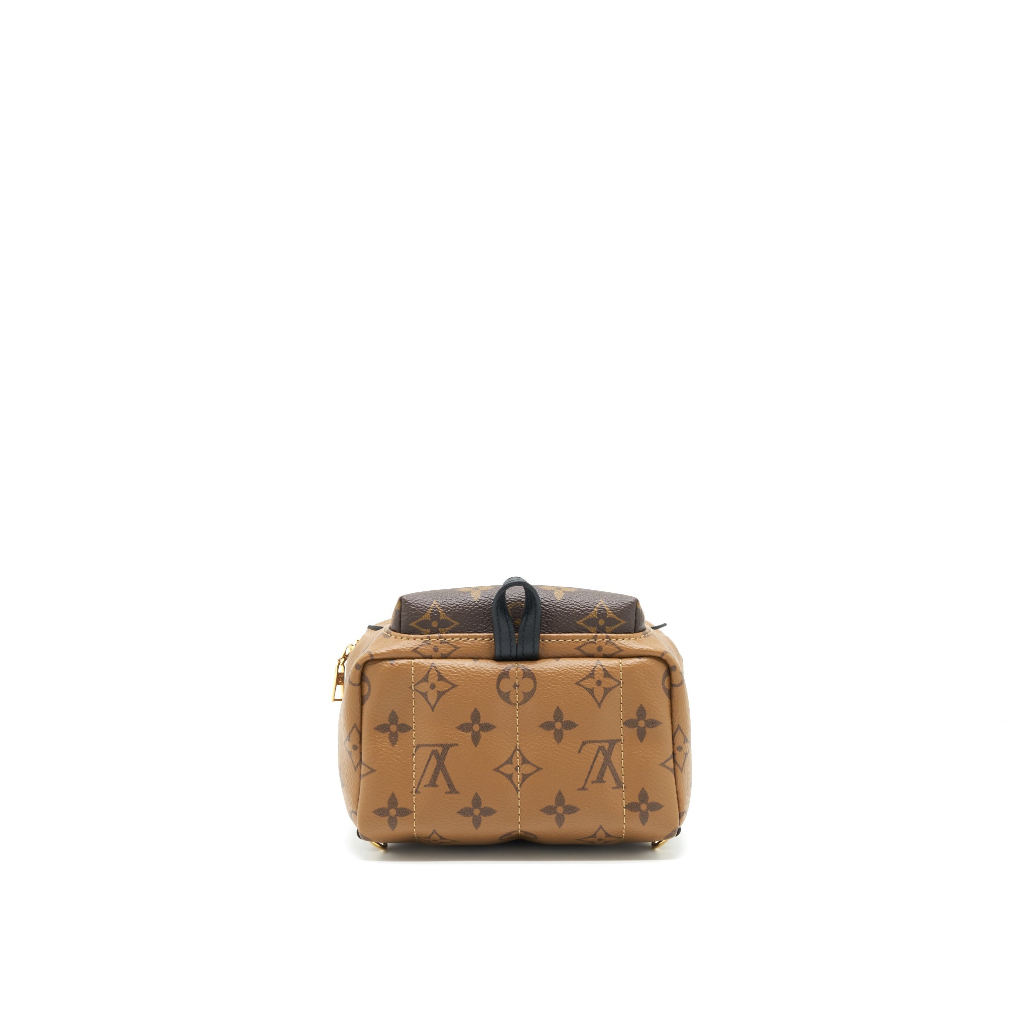 louis-vuitton-palm-spring-mini-backpack-year-2020