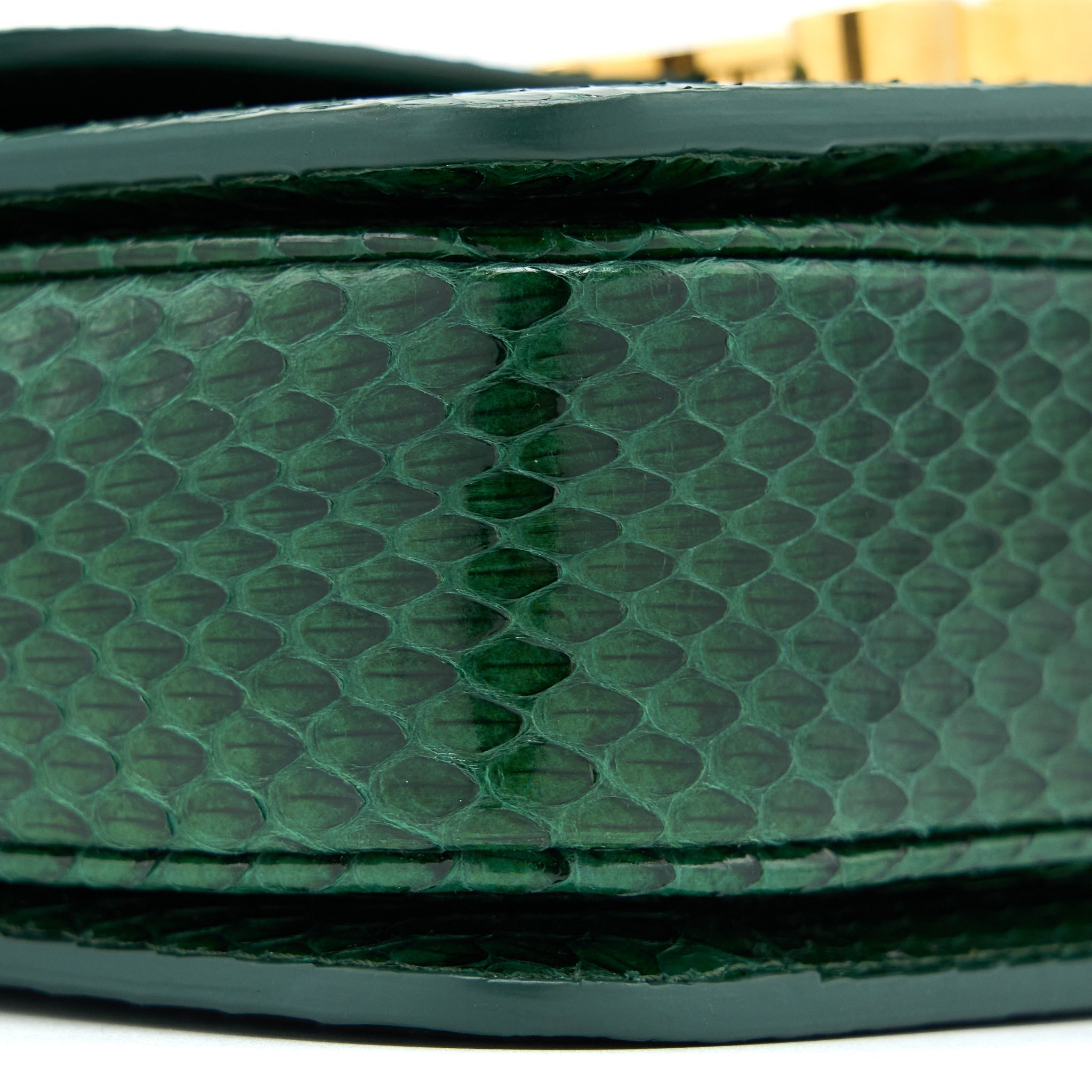 celine-triomphe-bag-watersnake-leather-green-ghw