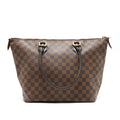 louis-vuitton-saleya-mm-in-damier-ebene