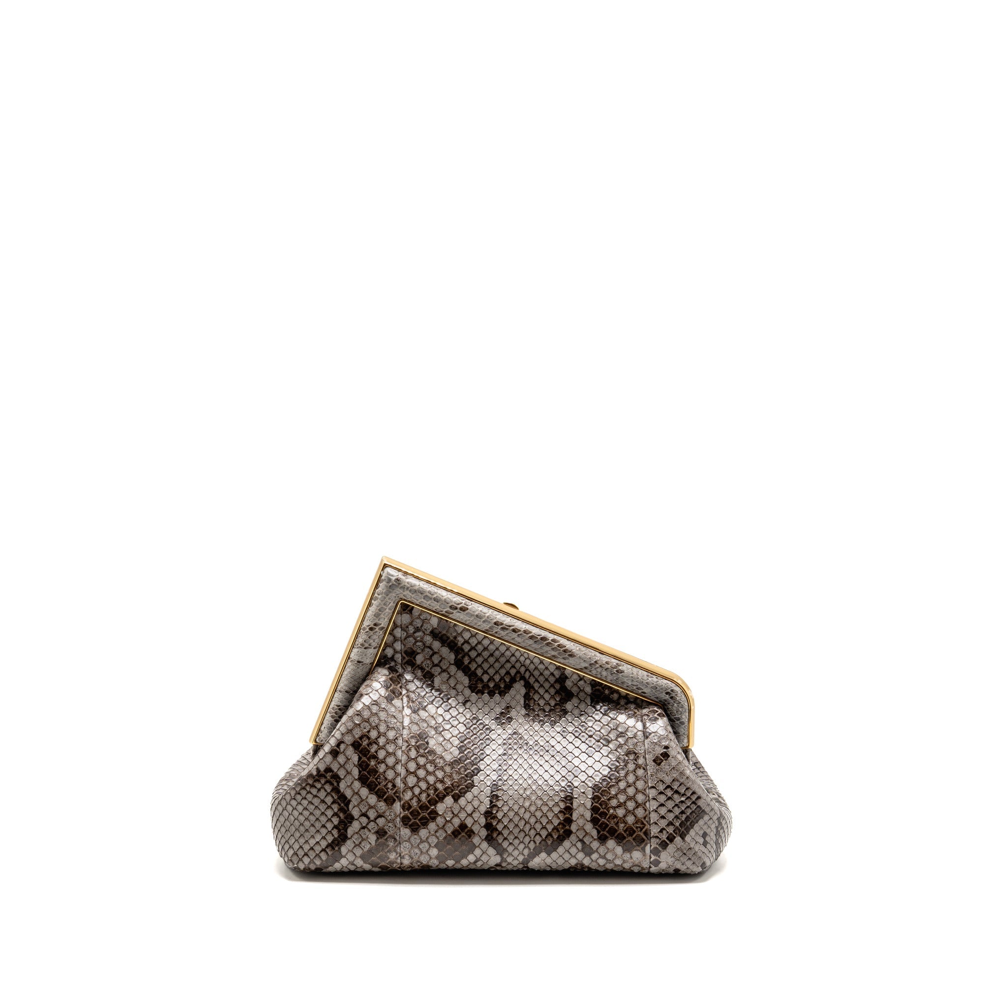 fendi-first-python