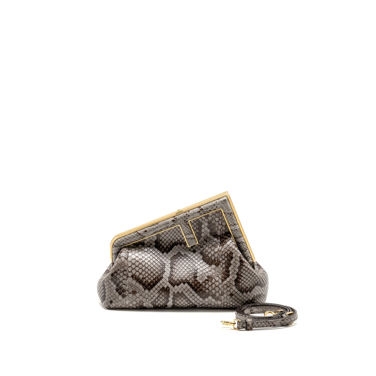 fendi-first-python