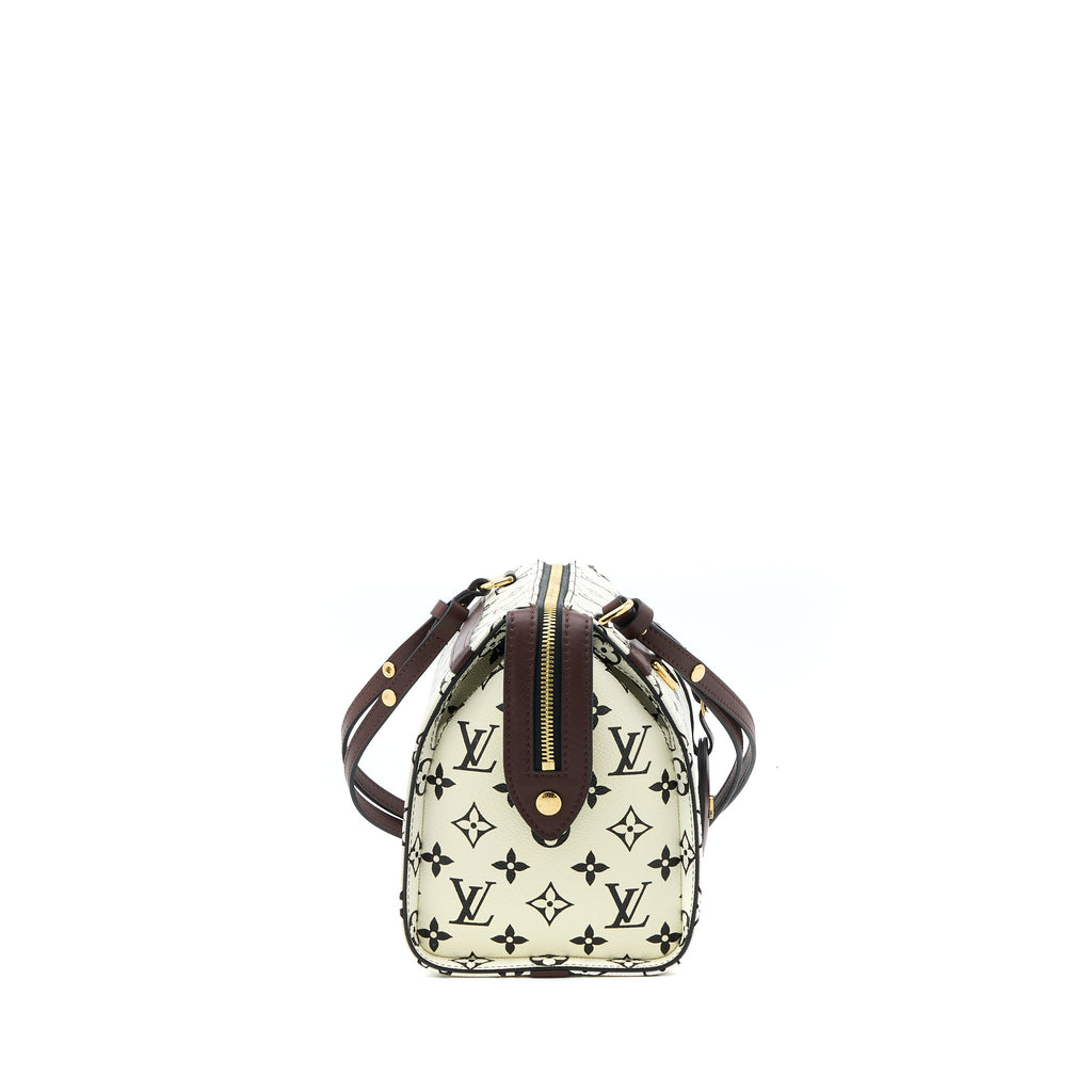 louis-vuitton-speedy-amazon-pm-bag-monogram-canvas-multicoloured-ghw
