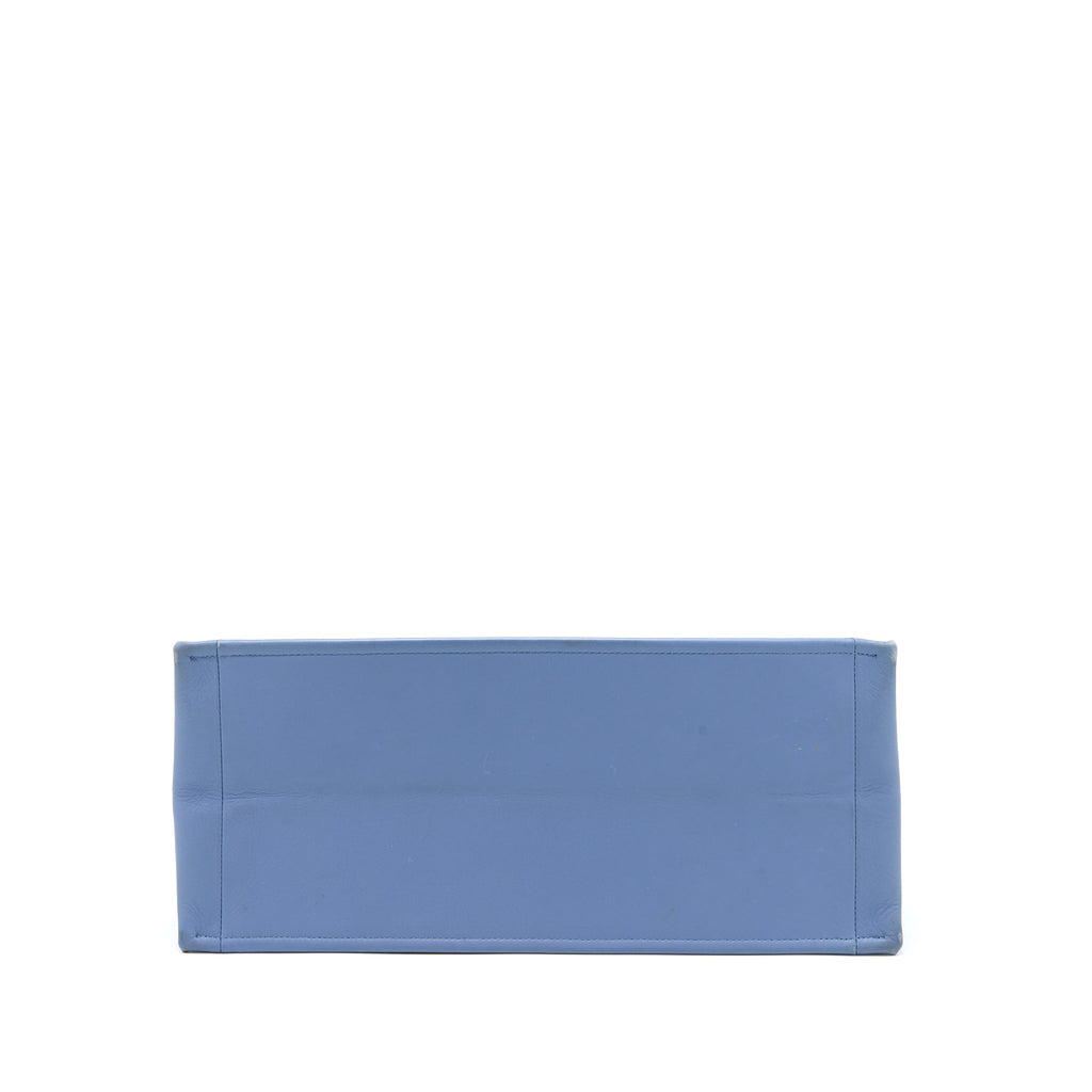 dior-large-book-tote-light-blue