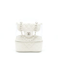 chanel-pvc-aquarium-backpack-aged-calfskin-white-shw