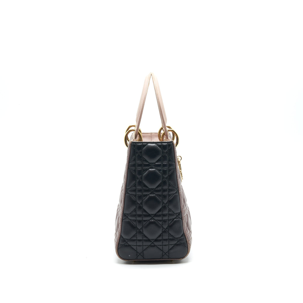 dior-medium-lady-dior-bag-multi-color