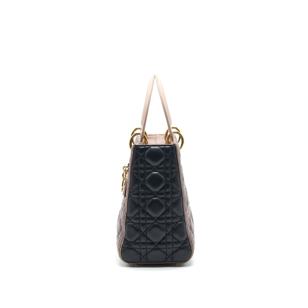dior-medium-lady-dior-bag-multi-color