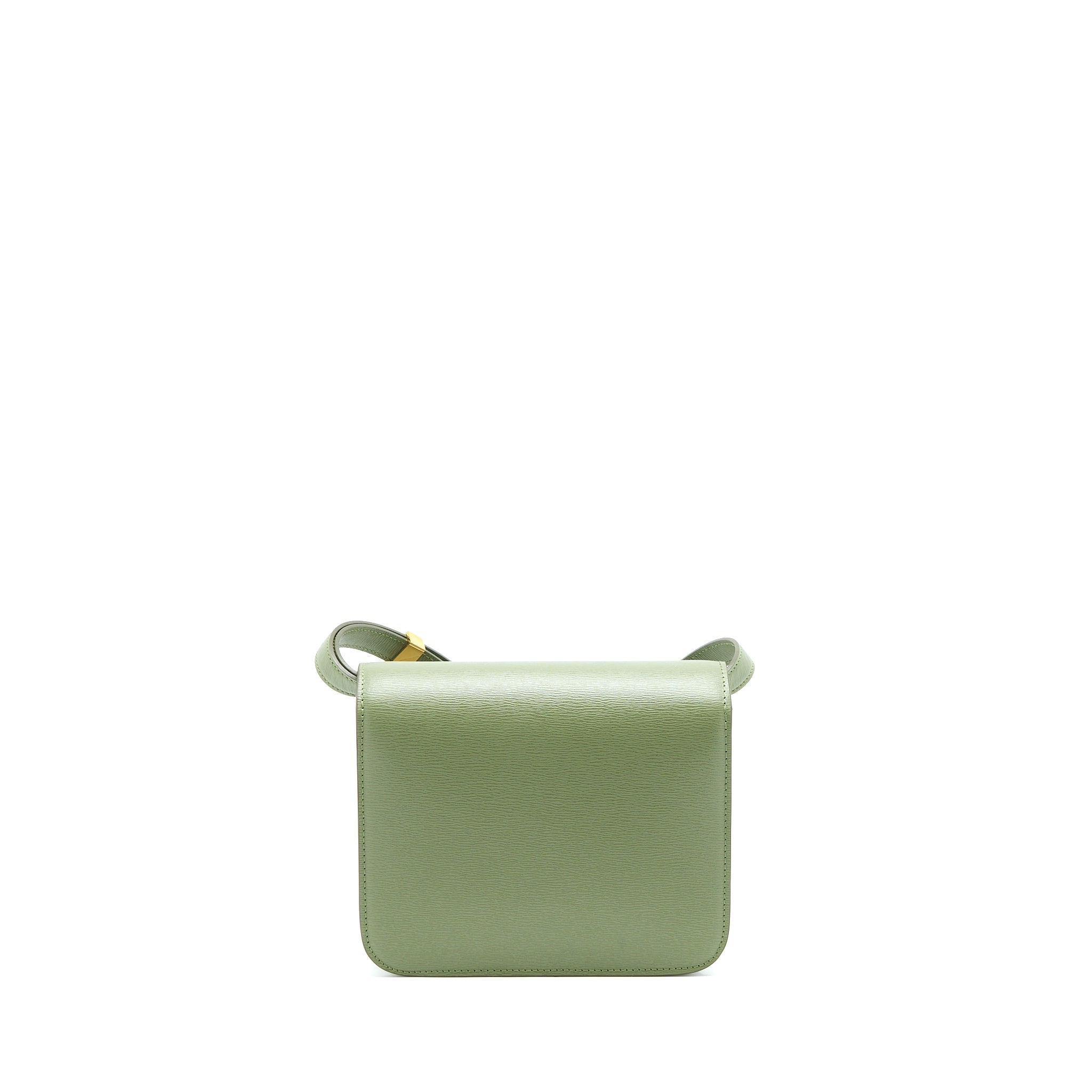 celine-teen-box-calfskin-green-ghw