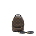 louis-vuitton-palm-spring-mini-backpack-monogram-canvas-ghw-4