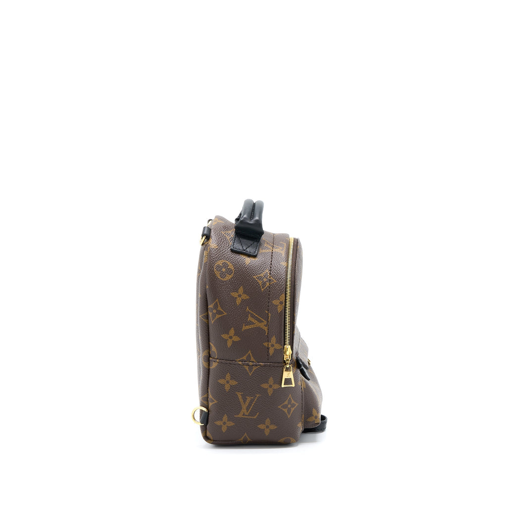 louis-vuitton-palm-spring-mini-backpack-monogram-canvas-ghw-4