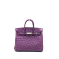 copy-of-hermes-birkin-25-ostrich-violine-shw-stamp-square-q
