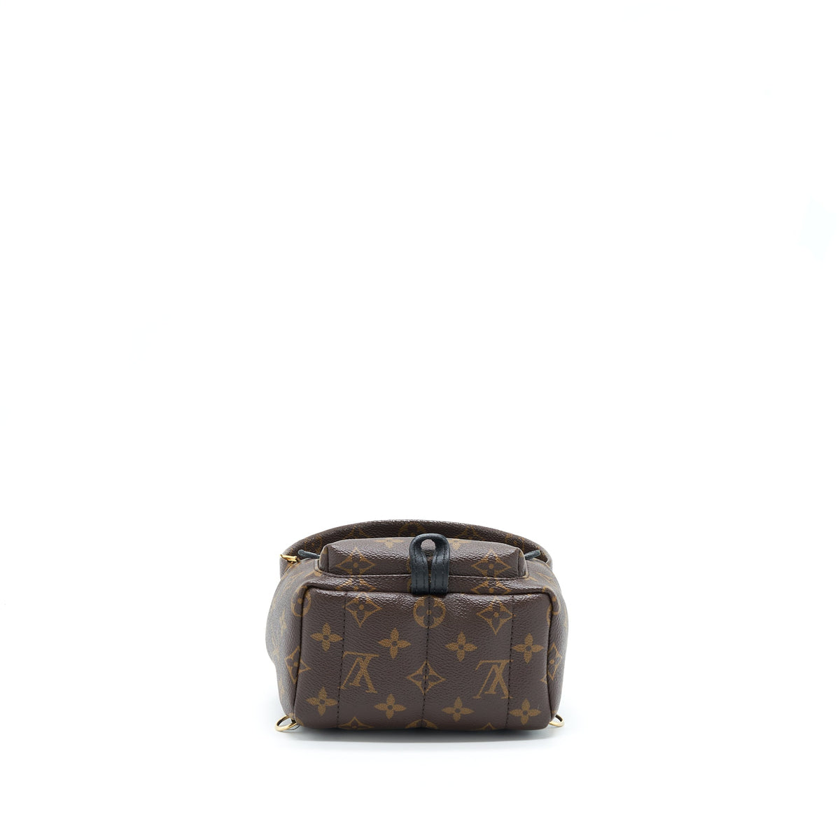 louis-vuitton-palm-spring-mini-backpack-monogram-canvas-ghw-1