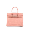 hermes-birkin-30-ostrich-terre-cuite-shw-stamp-t