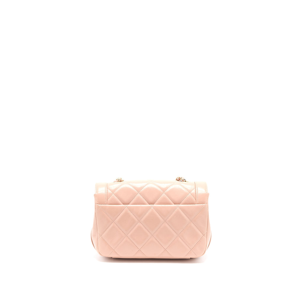 chanel-seasonal-flap-bag-aged-calfskin-pink-lghw