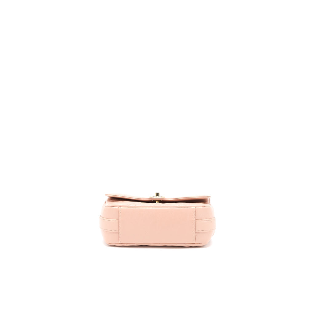 chanel-seasonal-flap-bag-aged-calfskin-pink-lghw