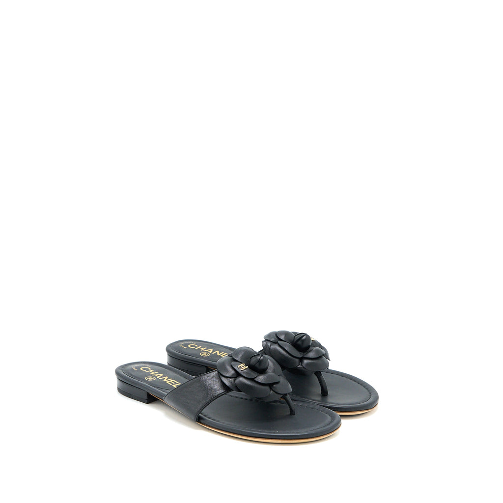 chanel-size-36-camelia-sandal-black-gold-tone
