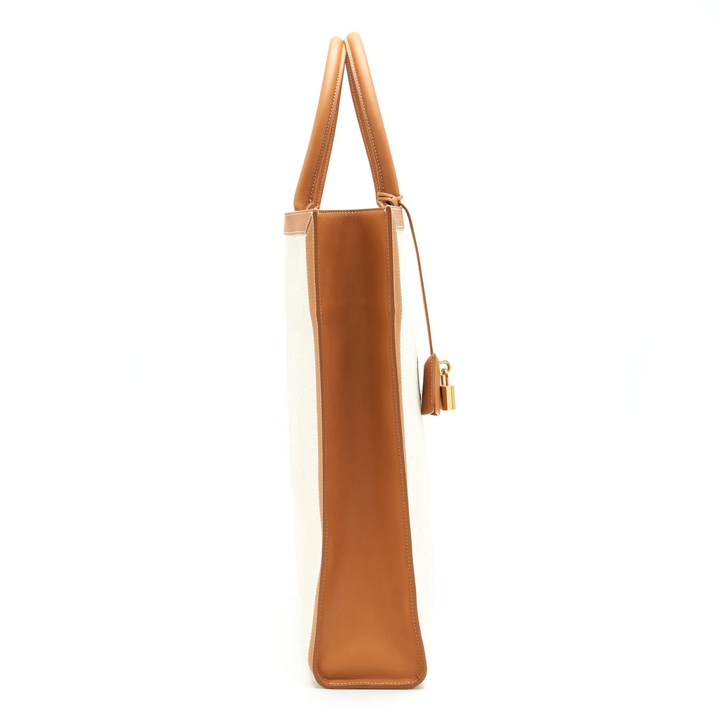 celine-small-vertical-cabas-canvas-with-celine-print-and-calfskin