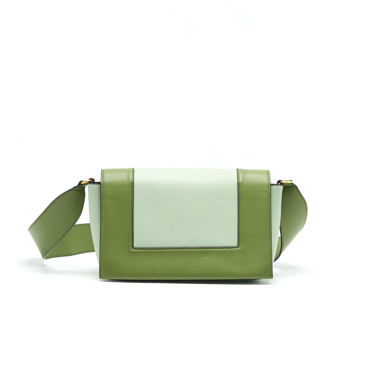 celine-frame-bag-shoulder-bag-green