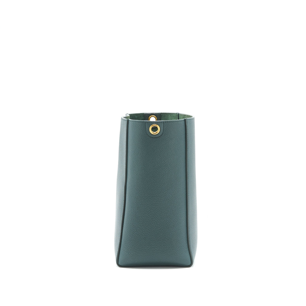 celine-small-sangle-bucket-bag-in-soft-grained-calfskin-amazon-ghw