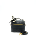 dior-small-diortravel-vanity-case-black-ghw-with-an-extra-twilly