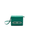hermes-ostrich-roulis-19-green-shw