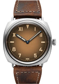 panerai-radiomir-california-47mm-patina-steel-pam00931
