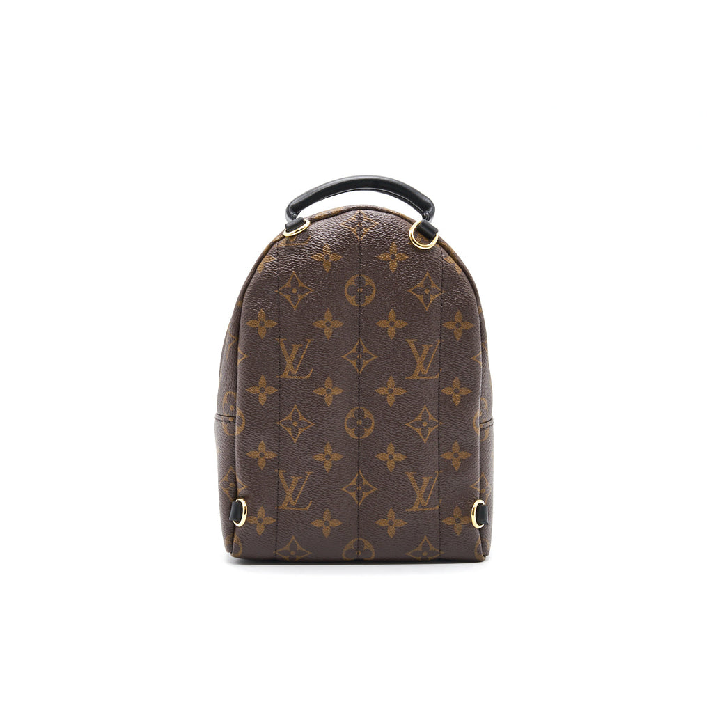 louis-vuitton-palm-springs-mini-3