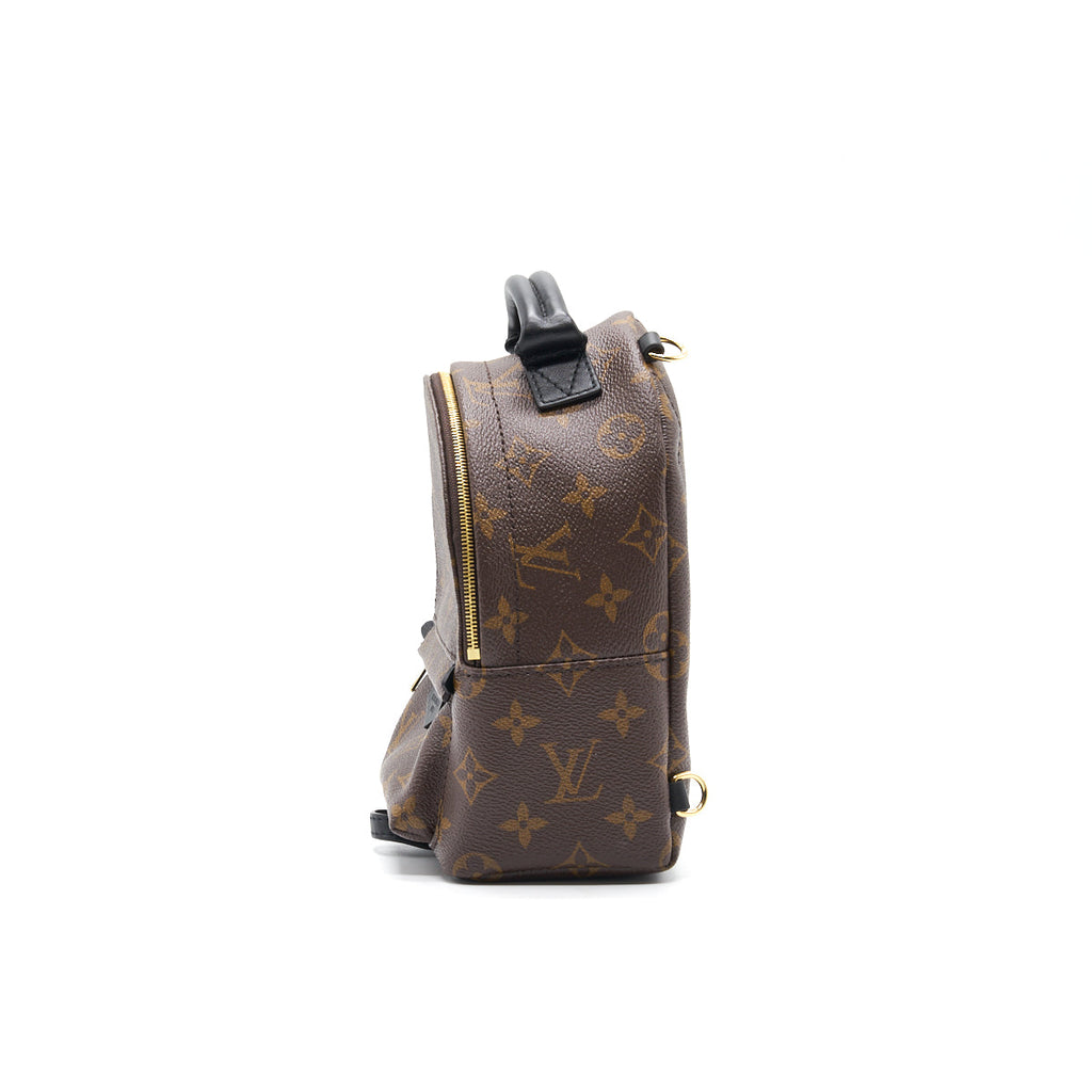 louis-vuitton-palm-springs-mini-3