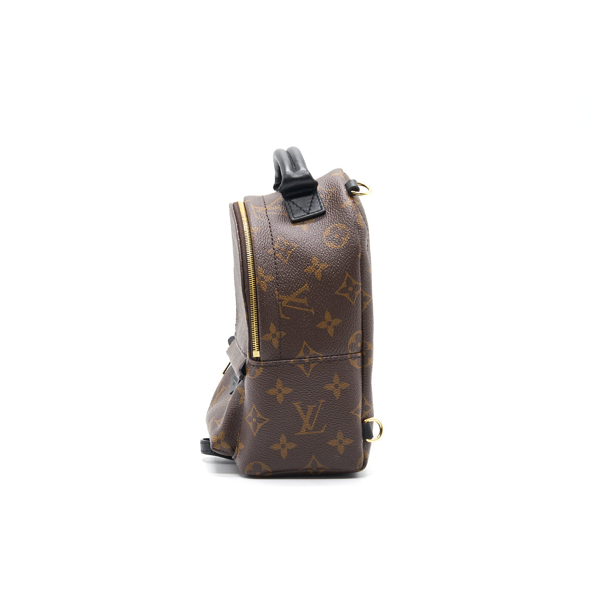 louis-vuitton-palm-springs-mini-3