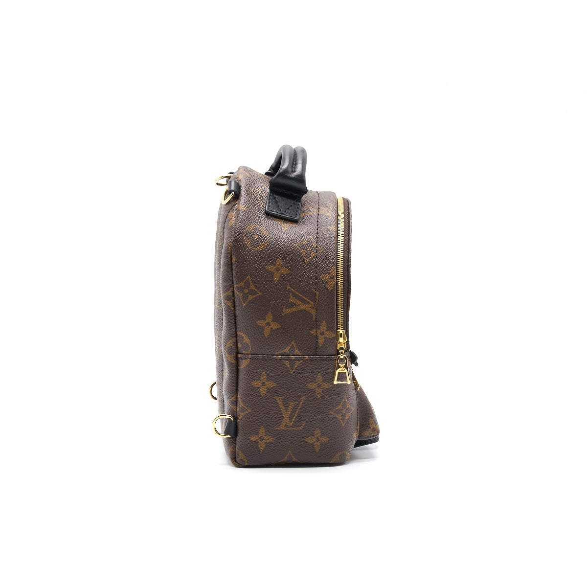 louis-vuitton-palm-springs-mini-3