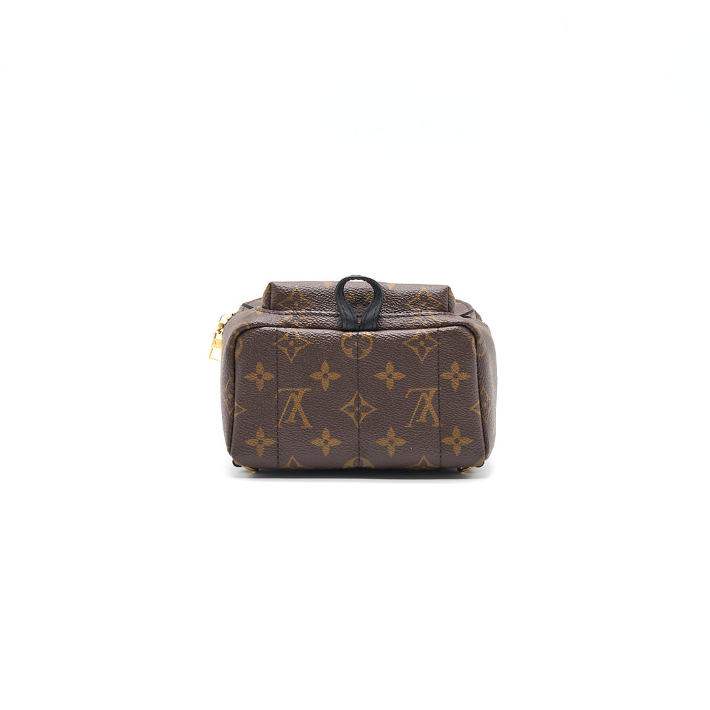 louis-vuitton-palm-springs-mini-3