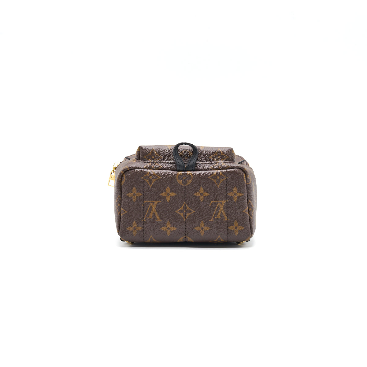 louis-vuitton-palm-springs-mini-3