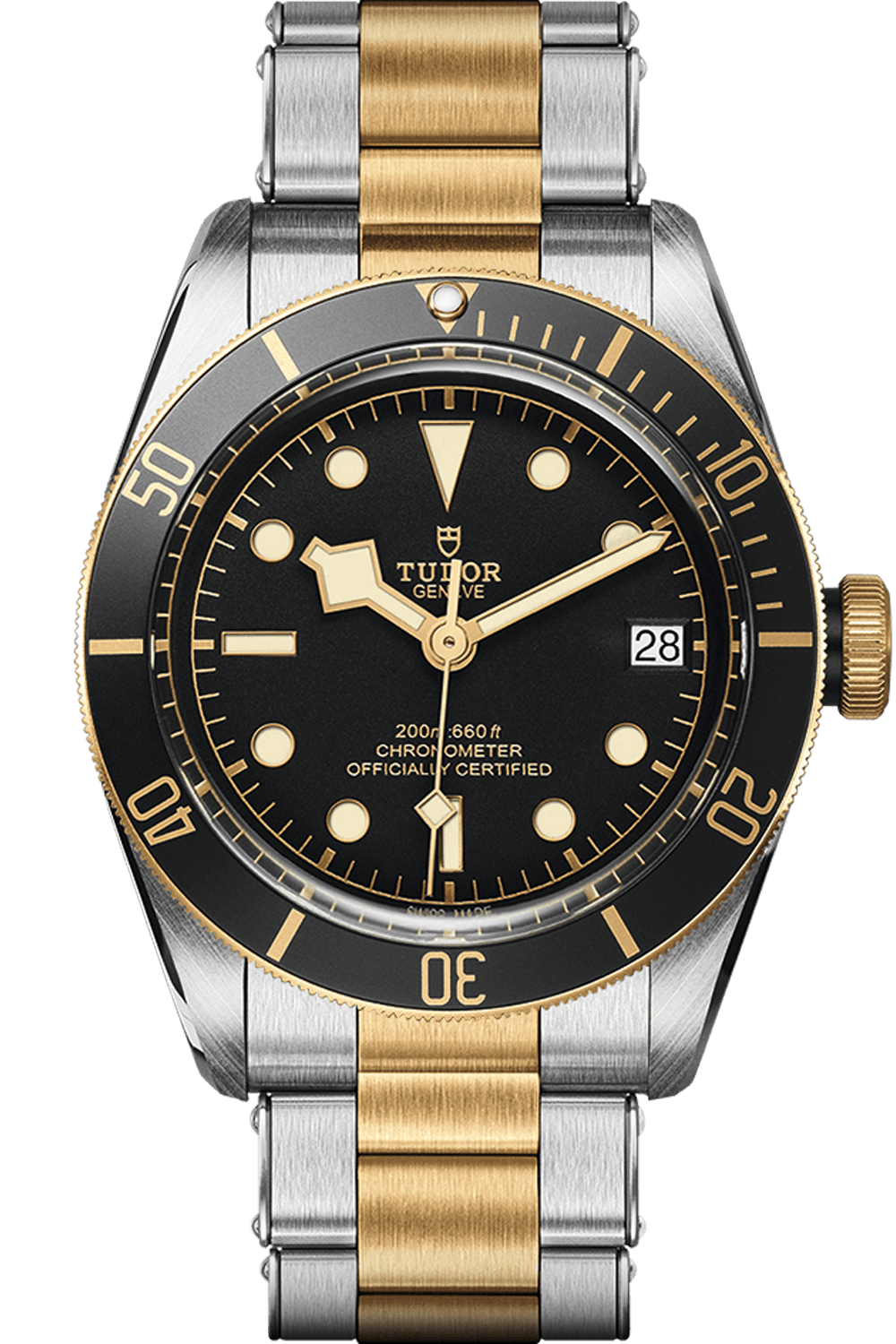 tudor-black-bay-s-g-ref-m79733n-0008